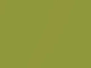 Lime Rock Green Metallic touch-up paint for Hyundai Coupe, code NJA, 2011