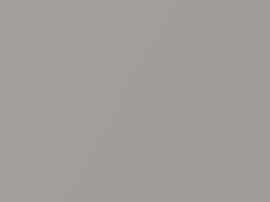Stone Beige Metallic touch-up paint for Buick Electra, code 116B, 50, WA116B, 1998