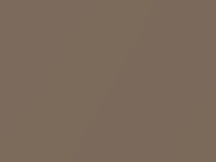 Light Autumnwood Metallic touch-up paint for Chevrolet Express, code 228A, 55, WA228A, 2003