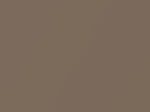 Light Autumnwood Metallic touch-up paint for Chevrolet Express, code 228A, 55, WA228A, 2003