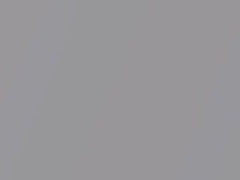 Audi Lotus Gray Metallic touch up paint 2Z 2015 All Models