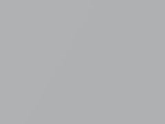 Platinum Silver Metallic touch-up paint for Lexus, code 1J4, 2015