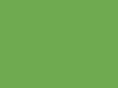 Kiwi Metallic touch-up paint for Mitsubishi, code CSF10024, F24, 2016