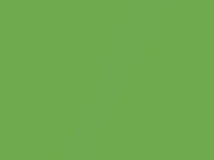 Kiwi Metallic touch-up paint for Mitsubishi, code CSF10024, F24, 2016