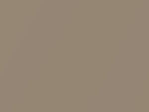 Beige Metallic touch-up paint for Toyota, code 4H6, 1990