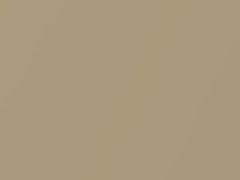 Light Camel Metallic touch-up paint for Oldsmobile Silhouette, code 67, 9747, WA9747, 1991