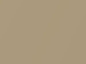Light Camel Metallic touch-up paint for Buick Skylark, code 67, 9747, WA9747, 1992