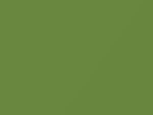 Verde Box touch-up paint for Fiat, code 386B, 2013