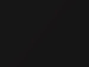 Audi Pantherschwarz Pearl touch up paint H8 2020 RS3
