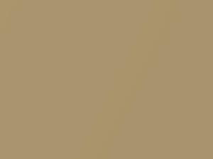 Light Gold Metallic touch-up paint for Dodge, code AY112SYL, PYL, SYL, 1995