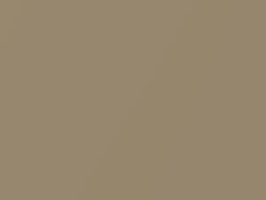 Saddle Mist Metallic touch-up paint for Buick, code 3484, T, WA3484, 1966