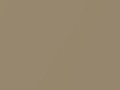Saddle Mist Metallic touch-up paint for Buick, code 3484, T, WA3484, 1966