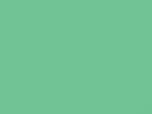 Palisade Green touch-up paint for Amc, code P46, 1969