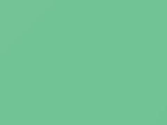 Palisade Green touch-up paint for Amc, code P46, 1968