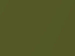 Avocado Metallic touch-up paint for Datsun, code 113, 1972