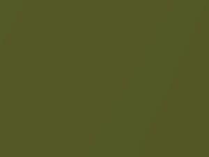 Avocado Metallic touch-up paint for Datsun, code 113, 1972