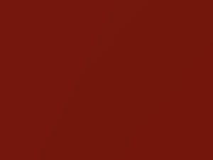 BMW Sakhir Orange Metallic touch up paint B50 2014 M4