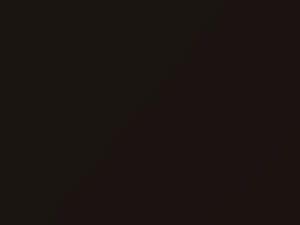 BMW 4 Series Sparkling Brown Metallic touch up paint B53 2018 4-SERIES