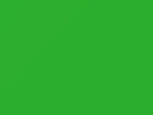 Fresh Green touch-up paint for Lexus, code 9J7, 2013
