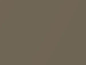 BMW Bahama Beige Metallic touch up paint 170 1986 All Models