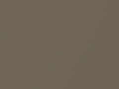 BMW Bahama Beige Metallic touch up paint 170 1984 All Models