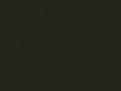 Amazon Green Metallic touch-up paint for Lexus LX570, code 6V2, 2008