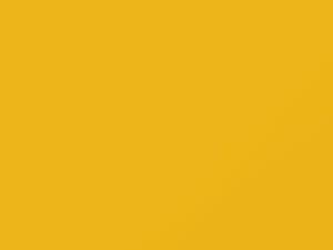 Amarillo Amanecer touch-up paint for Ford Ecosport, code 5, 5FMA + alternatives, 2017
