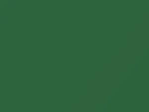 Light Green touch-up paint for Dodge, code PGC, 2021