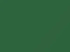 Light Green touch-up paint for Dodge, code PGC, 2020