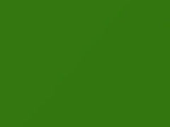 Green Angles touch-up paint for Dodge Promaster, code P06, 2021