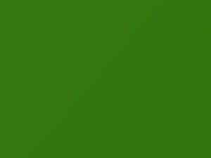 Green Angles touch-up paint for Dodge Promaster, code P06, 2021