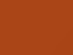 Power Tan touch-up paint for Dodge Ram, code P81, 2021