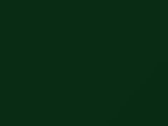 Tree Green touch-up paint for Dodge Ram, code P73, 2020