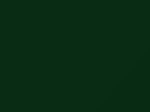 Tree Green touch-up paint for Dodge Ram, code P73, 2020