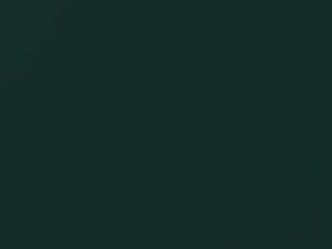 BMW Islandgruen Metallic touch up paint 273 1994 All Models