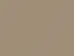 BMW 3 Series Milanobeige Metallic touch up paint A84 2015 3-SERIES