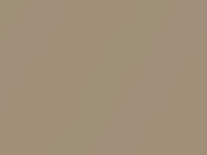BMW 7 Series Milanobeige Metallic touch up paint A84 2015 7-SERIES