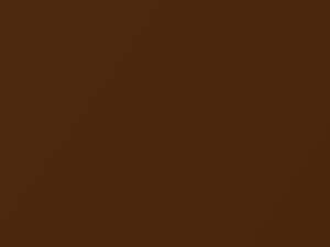 Audi Ipanema Brown Metallic touch up paint 7V 2018 A7