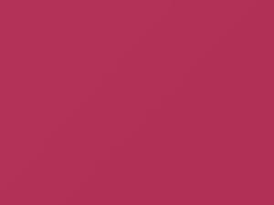 Barbie Rosa touch-up paint for Fiat, code 591A, 2010