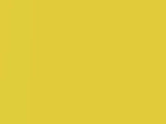 Attrack Yellow Pearl touch-up paint for Honda, code Y72P, 2014
