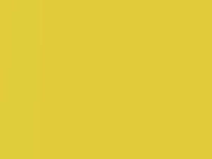 Attrack Yellow Pearl touch-up paint for Honda, code Y72P, 2013