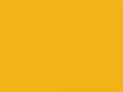 Solar Yellow/Solar Yellow Pearl touch-up paint for Nissan Juke, code EAV, 2014