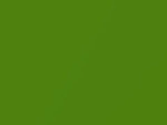 Stryker Green Pearl touch-up paint for Dodge, code MG7, PG7, 2017