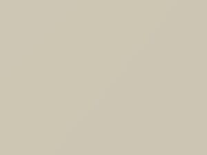Audi Amalfiweiss touch up paint 551503 2016 A6