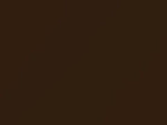 BMW Marrakesh Brown Metallic touch up paint B09 2016 X1