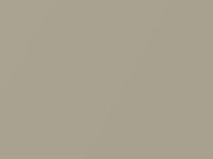 Audi Perlbeige Pearl touch up paint 7Z 2008 All Models
