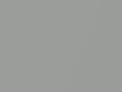 Tridion Silver Metallic touch-up paint for Smart Forfour, code C02L, 2002