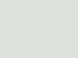 Audi Inuitweiss Metallic touch up paint 0H9 2011 R8