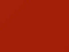 Arancio Spassoso touch-up paint for Fiat, code 551A, 2011