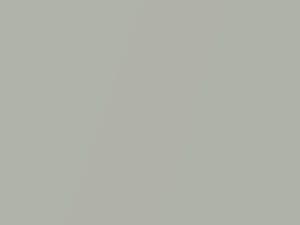 Silver Fox Metallic touch-up paint for Aston Martin DB9, code 5131H, AST5131H, 2012